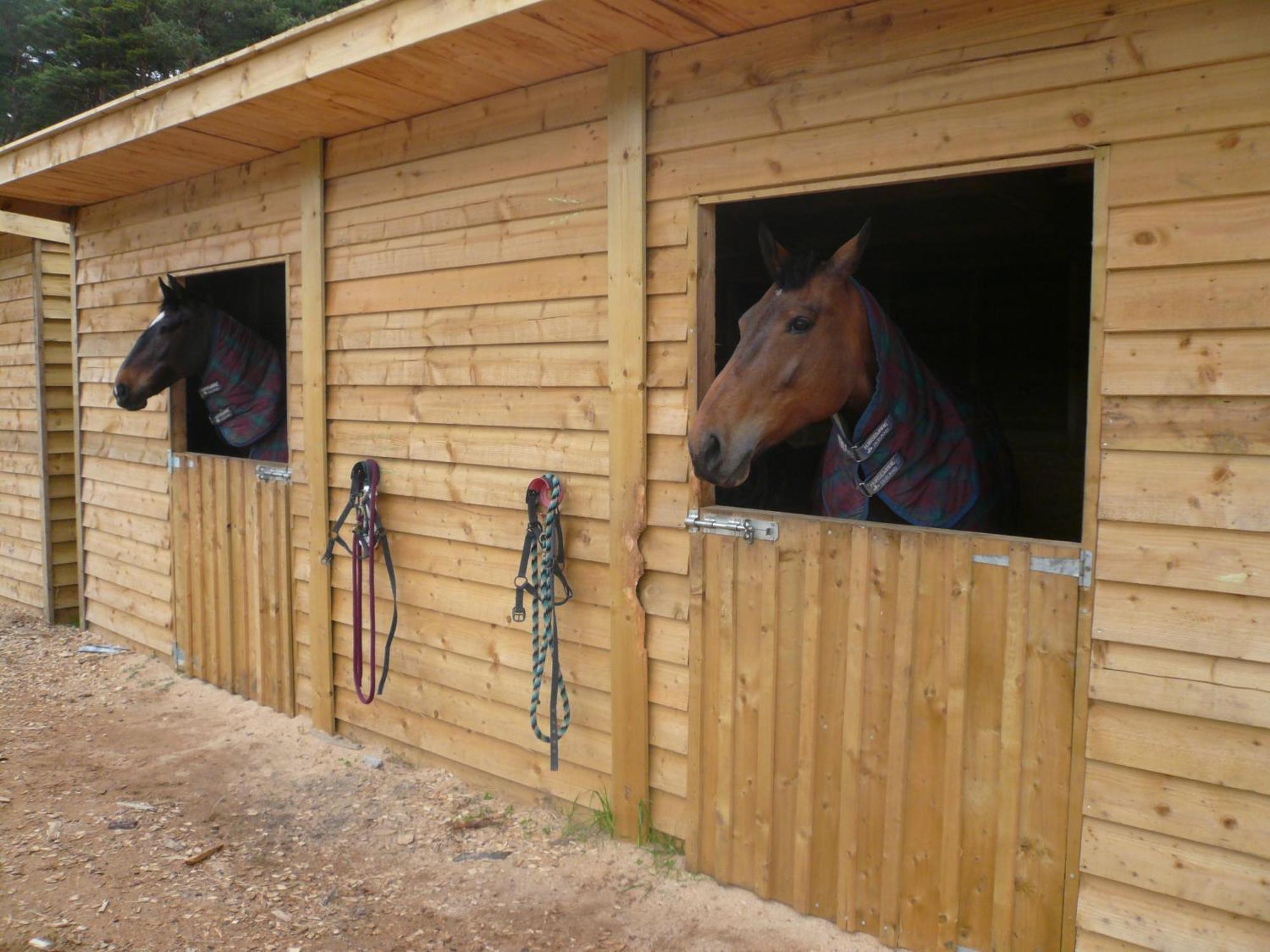 Tigh An Each B&B & Laggan Glamping Newtonmore Exterior foto